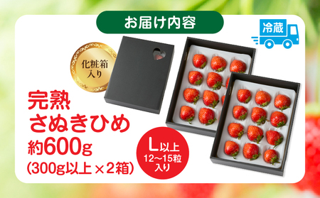 完熟さぬき姫 約600g | いちご 苺 さぬき姫 さぬきひめ 香川県オリジナル 希少 甘い 完熟 フルーツ 果物 旬 香川県 三木町 |_mk035-007