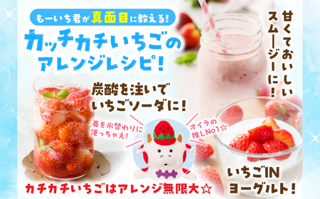 【冷凍いちご】森のいちごのカッチカチいちご【さぬきひめ】　2kg|いちご 苺 ストロベリー さぬき姫 さぬきひめ 香川県オリジナル 希少 甘い 完熟 フルーツ 冷凍 果物 旬 香川県 三木町|_mk035-008