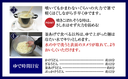 ざるうどん半生10袋入（つゆ付）|うどん さぬきうどん 讃岐うどん ざるうどん 細麺 半生うどん コシ めんつゆ付き かけ 釜あげ ぶっかけ 伝統 香川 半生 三木町|_mk041-006