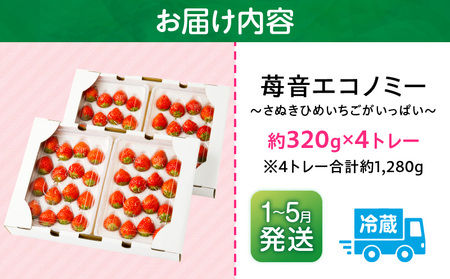 【2026年発送分 先行受付】苺音エコノミー　～さぬきひめいちごがいっぱい～　約1,280g | おすすめ 人気 果実 果肉 果物 フルーツ デザート 贈り物 苺 さぬきひめ 贈答 ご褒美 ギフト 旬の果物 季節の果物 旬 季節 青果物 香川県 三木町  |_mk137-001