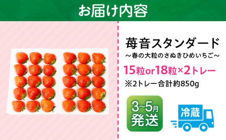 【2026年発送分 先行受付】苺音スタンダード～春の大粒のさぬきひめいちご～　約850ｇ | スイーツ いちご イチゴ ストロベリー さぬきひめ さぬき姫 苺 冷蔵 フルーツ 旬 果物 香川県 デザート 青果物 おすすめ |_mk137-003