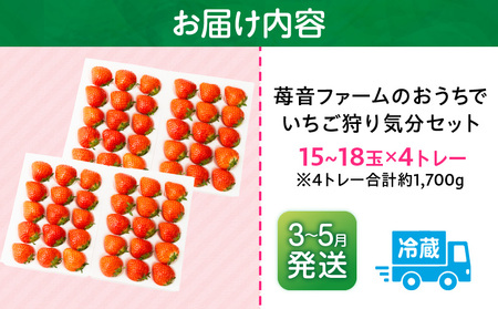 【2026年発送分 先行受付】『苺音ファームの』おうちでいちご狩り気分セット　～さぬきひめいちごをいっぱい食べられる大容量セット～　約1.7kg|イチゴ フルーツ 旬のいちご 旬 果物 デザート 旬の果物 果実 ご褒美 季節 甘い 国産 ギフト お取り寄せ 贈答 贈り物 プレゼント 香川県 三木町 |_mk137-005