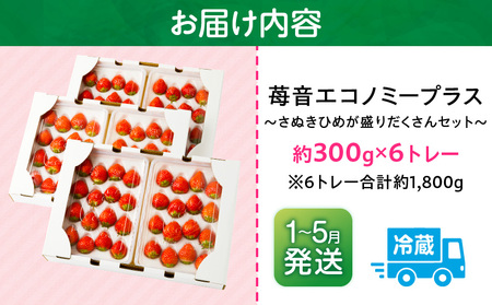 【2026年発送分 先行受付】苺音エコノミープラス　～『さぬきひめ』ずくめな1週間が楽しめる盛りだくさんセット～　約1,800g | スイーツ いちご イチゴ ストロベリー さぬきひめ さぬき姫 苺 冷蔵 1kg以上 フルーツ 旬 果物 香川県 デザート 青果物 おすすめ |_mk137-006