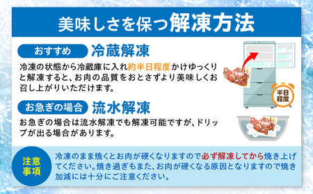 やわらか牛ハラミ焼肉　秘伝のタレ漬け3kg(250g×12P) | 牛肉 焼肉 タレ 漬け 秘伝 柔らかい 味付き やきにく ハラミ 希少 小分け 厚切り 冷凍 BBQ バーベキュー 香川県 三木町 国産 おすすめ |_mk146-029