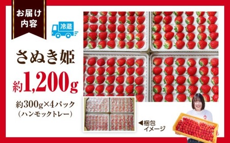 ”あえて”小粒いちご　極甘さぬき姫1,200g×1箱 | いちご 小粒 高級 さぬき姫 果物 フルーツ おすすめ 旬 イチゴ 季節 旬の果物 ギフト パック 果実 贈り物 化粧箱 贈答用 デザート 人気 果肉 生鮮食品 国産 冷蔵 香川県 三木町 |_mk165-004