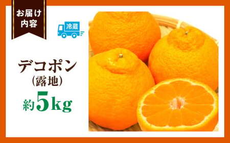 デコポン(露地)　5kg | デコポン みかん フルーツ 果物 旬 柑橘 デザート お裾分け 旬 旬の果物 おすすめ 人気 デザート 生鮮食品 果実 お取り寄せ 贈答用 贈り物 柑橘類 季節 季節の果物 柑橘系 香川県 三木町 |_mk165-007