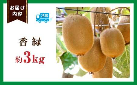 キウイフルーツ(香緑)　3.0kg | キウイ フルーツ 果物 旬 旬の果物 キウイフルーツ デザート 生鮮食品 贈り物 贈答 お裾分け おすすめ 人気 ギフト グルメ 特産品 果肉 季節 季節の果物 香川県 三木町 |_mk165-013