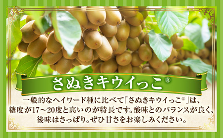 季節の恵み2回定期便E | 果物 フルーツ 定期便 定期 果物定期便 フルーツ定期便 スイーツ デザート 旬の果物 旬のフルーツ 旬の定期便 贈り物 贈答 ギフト 厳選 ギフト ご褒美 いちご キウイ キウイフルーツ 香川県 三木町 |_mk165-t005
