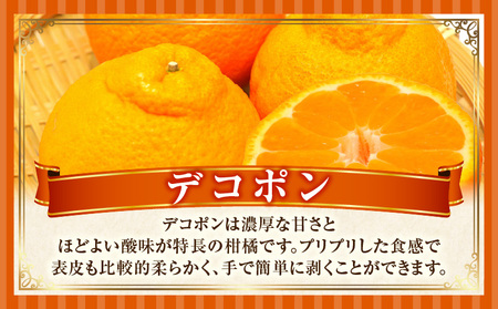 季節の恵み2回定期便F | 果物 フルーツ 定期便 果物定期便 フルーツ定期便 旬 旬の果物 旬の定期便 スイーツ デザート ゴールドキウイ デコポン キウイフルーツ ギフト 贈り物 贈答 ご褒美 厳選 香川県 三木町 |_mk165-t006
