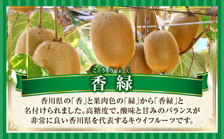 季節の恵み2回定期便G | 果物 フルーツ 定期便 フルーツ定期便 果物定期便 旬 旬の果物 旬のフルーツ 旬の定期便 果実 果汁 デザート スイーツ キウイ キウイフルーツ ゴールドキウイ 厳選 贈り物 贈答 ギフト ご褒美 香川県 三木町 |_mk165-t007