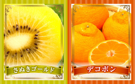 季節の恵み3回定期便A | 果物 フルーツ 青果 青果物 デザート スイーツ 果実 旬 季節 旬の果物 季節の果物 生鮮食品 生鮮 贈答 贈り物 ギフト プレゼント おすそ分け お祝い 内祝い ご褒美 人気 グルメ お取り寄せ 特産品 特産 国産 香川県 三木町 |_mk165-t016