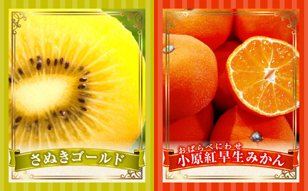 季節の恵み3回定期便C | 果物 フルーツ 青果 青果物 デザート スイーツ 果実 旬 季節 旬の果物 季節の果物 生鮮食品 生鮮 贈答 贈り物 ギフト プレゼント おすそ分け お祝い 内祝い ご褒美 人気 グルメ お取り寄せ 特産品 特産 国産 香川県 三木町 |_mk165-t018