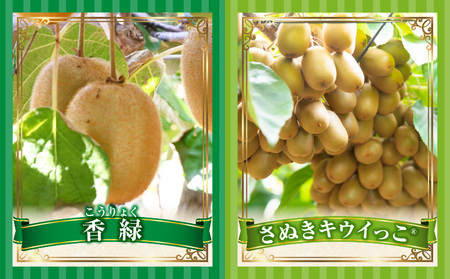 季節の恵み3回定期便I | 果物 フルーツ 青果 青果物 デザート スイーツ 果実 旬 季節 旬の果物 季節の果物 生鮮食品 生鮮 贈答 贈り物 ギフト プレゼント おすそ分け お祝い 内祝い ご褒美 人気 グルメ お取り寄せ 特産品 特産 国産 香川県 三木町 |_mk165-t024