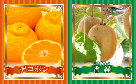 季節の恵み4回定期便A | 果物 フルーツ 青果 青果物 デザート スイーツ 果実 旬 季節 旬の果物 季節の果物 生鮮食品 生鮮 贈答 贈り物 ギフト プレゼント おすそ分け お祝い 内祝い ご褒美 人気 グルメ お取り寄せ 特産品 特産 国産 香川県 三木町 |_mk165-t025