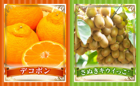 季節の恵み4回定期便C | 果物 フルーツ 青果 青果物 デザート スイーツ 果実 旬 季節 旬の果物 季節の果物 生鮮食品 生鮮 贈答 贈り物 ギフト プレゼント おすそ分け お祝い 内祝い ご褒美 人気 グルメ お取り寄せ 特産品 特産 国産 香川県 三木町 |_mk165-t027