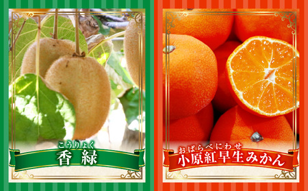 季節の恵み4回定期便D | 果物 フルーツ 青果 青果物 デザート スイーツ 果実 旬 季節 旬の果物 季節の果物 生鮮食品 生鮮 贈答 贈り物 ギフト プレゼント おすそ分け お祝い 内祝い ご褒美 人気 グルメ お取り寄せ 特産品 特産 国産 香川県 三木町 |_mk165-t028