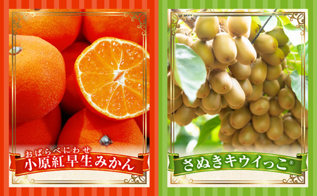 季節の恵み4回定期便F | 果物 フルーツ 青果 青果物 デザート スイーツ 果実 旬 季節 旬の果物 季節の果物 生鮮食品 生鮮 贈答 贈り物 ギフト プレゼント おすそ分け お祝い 内祝い ご褒美 人気 グルメ お取り寄せ 特産品 特産 国産 香川県 三木町 |_mk165-t030