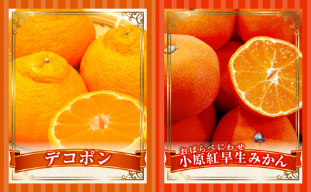 季節の恵み4回定期便H | 果物 フルーツ 青果 青果物 デザート スイーツ 果実 旬 季節 旬の果物 季節の果物 生鮮食品 生鮮 贈答 贈り物 ギフト プレゼント おすそ分け お祝い 内祝い ご褒美 人気 グルメ お取り寄せ 特産品 特産 国産 香川県 三木町 |_mk165-t046