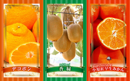 季節の恵み5回定期便D | 果物 フルーツ 青果 青果物 デザート スイーツ 果肉 旬 季節 旬の果物 季節の果物 生鮮食品 生鮮 贈答 贈り物 ギフト プレゼント おすそ分け お祝い 内祝い ご褒美 人気 グルメ お取り寄せ 特産品 特産 国産 香川県 三木町 |_mk165-t048