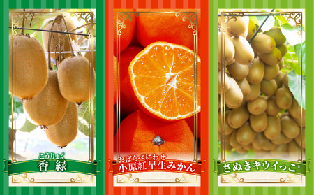 季節の恵み6回定期便B | 果物 フルーツ 青果物 デザート スイーツ 果実 果肉 旬 季節 旬の果物 季節の果物 生鮮食品 生鮮 贈答 贈り物 ギフト プレゼント おすそ分け お祝い 内祝い ご褒美 人気 グルメ お取り寄せ 特産品 特産 国産 香川県 三木町 |_mk165-t050