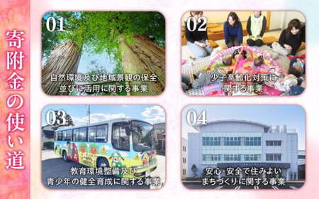 三木町への応援寄附金【100,000円】（返礼品なし）_mk167-007