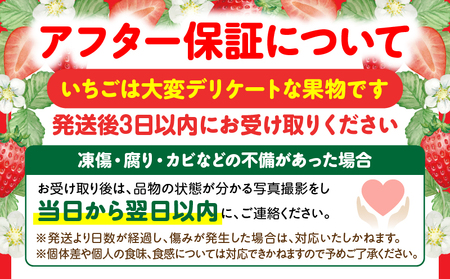 【年内発送】三木町地域いちご部会『さぬきひめ』　400g（化粧箱入）| スイーツ いちご ストロベリー イチゴ さぬき姫 さぬきひめ 苺 甘い 冷蔵 フルーツ 旬 果物 香川県 デザート 青果物 贈答 プレゼント 化粧箱 贈り物 おすすめ |_mk006-017
