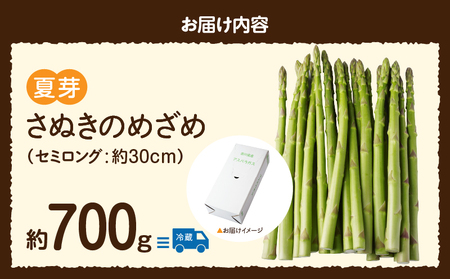 【先行受付】香川オリジナルアスパラガス「さぬきのめざめ」(セミロング)夏芽 約700g | 野菜 アスパラ アスパラガス さぬきのめざめ 料理 柔らかい 夏 冷蔵 新鮮 香川県 三木町 セミロング おすすめ |_mk006-028