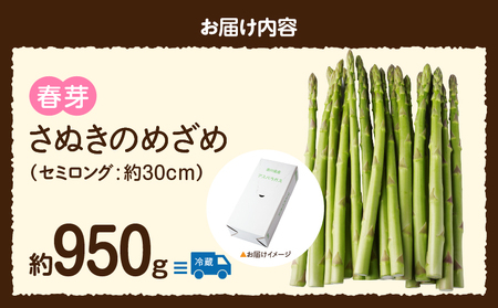 三木町産　香川オリジナルアスパラガス「さぬきのめざめ」　セミロング　春芽　約950ｇ | 野菜 アスパラ アスパラガス さぬきのめざめ 春 冷蔵 新鮮 香川県 三木町 セミロング おすすめ |_mk006-038