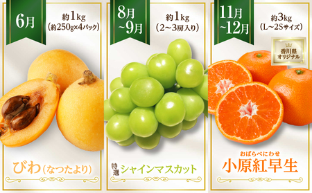 さぬき旬のフルーツ満足 5回定期便 | 果物 フルーツ 青果 青果物 いちご みかん シャインマスカット びわ さぬきひめ 小原紅早生みかん マスカット なつたより 不知火 旬の果物 季節の果物 贈答 贈り物 ギフト 化粧箱 取り寄せ 香川県 三木町 送料無料 |_mk006-t016