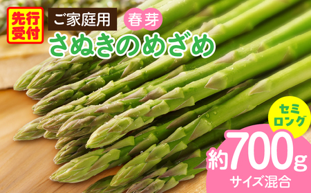 ご家庭用アスパラガス「さぬきのめざめ」(セミロング)春芽 サイズ混合約700g | 野菜 アスパラ アスパラガス さぬきのめざめ 家庭用 春 冷蔵 新鮮 香川県 三木町 セミロング おすすめ |_mk006-027