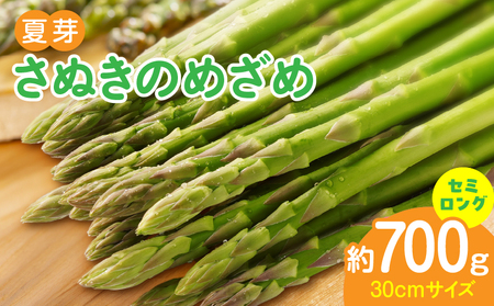 【先行受付】香川オリジナルアスパラガス「さぬきのめざめ」(セミロング)夏芽 約700g | 野菜 アスパラ アスパラガス さぬきのめざめ 料理 柔らかい 夏 冷蔵 新鮮 香川県 三木町 セミロング おすすめ |_mk006-028