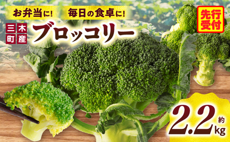三木町産ブロッコリー 約2.2kg | ブロッコリー 野菜 食材 サラダ 料理 大きい 新鮮 生野菜 生鮮食品 栄養価が高い 冷蔵 おすすめ 香川県 三木町 |_mk006-037