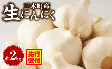 三木町産　生にんにく　約2kg にんにく ガーリック 肉厚 野菜 食材 国産 国産にんにく 薬味 調味 スタミナ 料理 贈答 贈り物 ギフト おすそ分け ストック 生鮮食品 食品 グルメ お取り寄せ おすすめ 特産 特産品 人気 自宅用 家庭用 香川県 三木町 _mk006-039