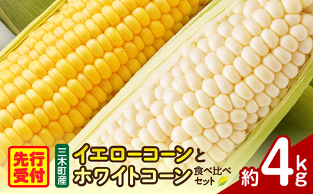 三木町産　イエローコーンとホワイトコーンの食べ比べセット | とうもろこし ホワイトコーン イエローコーン 食べ比べ セット 食べ比べセット 詰め合わせ 野菜 旬 旬の野菜 季節の野菜 グルメ お取り寄せ 人気 おすすめ 香川県 三木町 |_mk006-041