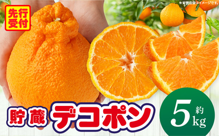 貯蔵デコポン約5kg(12～24玉)【香川県共通返礼品】 | デコポン 甘い 酸味 柑橘 柑橘系 オレンジ 果物 フルーツ 青果 デザート おすすめ 取り寄せ 香川県 三木町 |_mk006-043