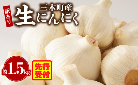 三木町産訳あり生にんにく 約1.5kg | にんにく 生にんにく ニンニク 訳あり 訳あり返礼品 訳あり品 野菜 新鮮 生野菜 香り豊か 栄養価が高い 肉厚 生 料理  スタミナ料理 家庭用 自宅用 香川県 三木町 |_mk006-044