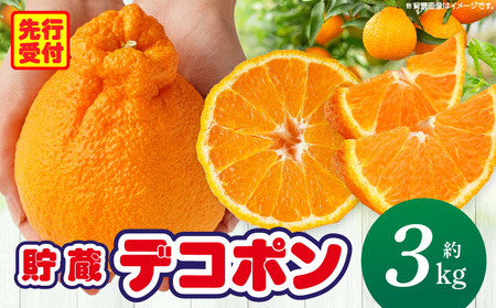 貯蔵デコポン約3kg(8～16玉)【香川県共通返礼品】 | デコポン 甘い 酸味 柑橘 柑橘系 果物 フルーツ 青果 デザート グルメ おすすめ 贈答 贈り物 贈答用 ギフト プレゼント 特産品 特産 取り寄せ 香川県 三木町 |_mk006-050