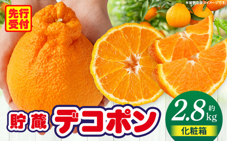 貯蔵デコポン約2.8kg化粧箱(7～12玉)【香川県共通返礼品】 | デコポン 甘い 酸味 柑橘 柑橘系 果物 フルーツ 青果 デザート グルメ おすすめ 贈答 贈り物 贈答用 ギフト プレゼント 特産品 特産 取り寄せ 香川県 三木町 |_mk006-051