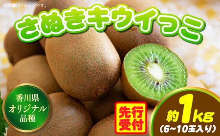 香川県オリジナルキウイフルーツ「さぬきキウイっこ」約1kg【香川県共通返礼品】 | キウイ キウイフルーツ 果物 フルーツ 青果 青果物 さぬきキウイっこ 果実 贈答 贈り物 ギフト 甘い 糖度が高い 季節のフルーツ 旬 おすすめ 香川県 三木町 |_mk006-053