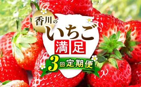 香川のいちご満足3回定期便|いちご 定期便 果物 フルーツ デザート ストロベリー 果肉 スイーツ 甘い 国産 贈り物 贈答 プレゼント グルメ いちご定期便 フルーツ定期便 人気 おすすめ 果物定期便 季節 旬 旬の果物 香川県 三木町 送料無料|_mk006-t010
