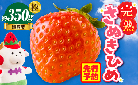 贈答用 完熟さぬき姫 極み 約350g | いちご 苺 さぬき姫 さぬきひめ 香川県オリジナル 希少 甘い 完熟 フルーツ 果物 旬 香川県 三木町 |_mk035-003