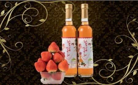 【ふるさと納税】 いちごワイン2本(500ml×2) |お酒 醸造酒 乾杯 おさけ 酒 アルコール いちご 苺 ブドウ ぶどう糖液 さわやか 贈り物 ギフト 常温 プレゼント 香川県産 香川県 三木町 おすすめ|_mk040-001