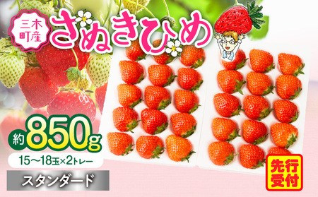 【2026年発送分 先行受付】苺音スタンダード～春の大粒のさぬきひめいちご～　約850ｇ | スイーツ いちご イチゴ ストロベリー さぬきひめ さぬき姫 苺 冷蔵 フルーツ 旬 果物 香川県 デザート 青果物 おすすめ |_mk137-003