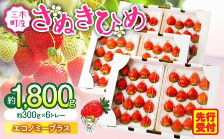 【2026年発送分 先行受付】苺音エコノミープラス　～『さぬきひめ』ずくめな1週間が楽しめる盛りだくさんセット～　約1,800g | スイーツ いちご イチゴ ストロベリー さぬきひめ さぬき姫 苺 冷蔵 1kg以上 フルーツ 旬 果物 香川県 デザート 青果物 おすすめ |_mk137-006