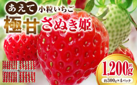 ”あえて”小粒いちご　極甘さぬき姫1,200g×1箱 | いちご 小粒 高級 さぬき姫 果物 フルーツ おすすめ 旬 イチゴ 季節 旬の果物 ギフト パック 果実 贈り物 化粧箱 贈答用 デザート 人気 果肉 生鮮食品 国産 冷蔵 香川県 三木町 |_mk165-004