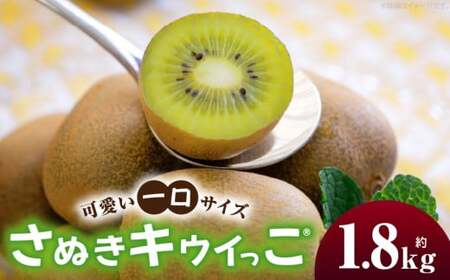 キウイフルーツ(さぬきキウイっこR)　1.8kg | キウイ フルーツ 果物 旬 旬の果物 キウイフルーツ デザート 生鮮食品 贈り物 贈答 お裾分け おすすめ 人気 ギフト グルメ 特産品 果肉 季節 季節の果物 香川県 三木町 |_mk165-008