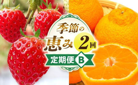 季節の恵み2回定期便B | フルーツ 果物 定期便 果物定期便 フルーツ定期便 定期 旬 旬の果物 デザート スイーツ イチゴ デコポン 柑橘 柑橘系 贈り物 贈答 ギフト グルメ 人気 おすすめ ご褒美 お取り寄せ 旬の定期便 厳選 香川県 三木町 |_mk165-t002