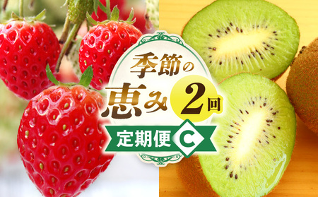 季節の恵み2回定期便C | 果物 スイーツ フルーツ デザート 旬の果物 旬のフルーツ 旬 定期便 果物定期便 旬のフルーツ定期便 フルーツ定期便 定期 厳選 キウイ イチゴ ご褒美 贈り物 贈答 ギフト 果実 香川県 三木町 |_mk165-t003