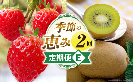 季節の恵み2回定期便E | 果物 フルーツ 定期便 定期 果物定期便 フルーツ定期便 スイーツ デザート 旬の果物 旬のフルーツ 旬の定期便 贈り物 贈答 ギフト 厳選 ギフト ご褒美 いちご キウイ キウイフルーツ 香川県 三木町 |_mk165-t005