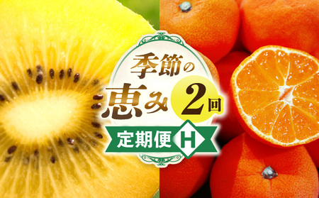 季節の恵み2回定期便H | 果物 フルーツ 定期便 果物定期便 フルーツ定期便 果実 旬 旬の果物 旬のフルーツ 旬の果物定期便 旬の定期便 デザート スイーツ 果汁 ご褒美 贈答 贈り物 キウイ ゴールドキウイ キウイフルーツ みかん 香川県 三木町 | _mk165-t008